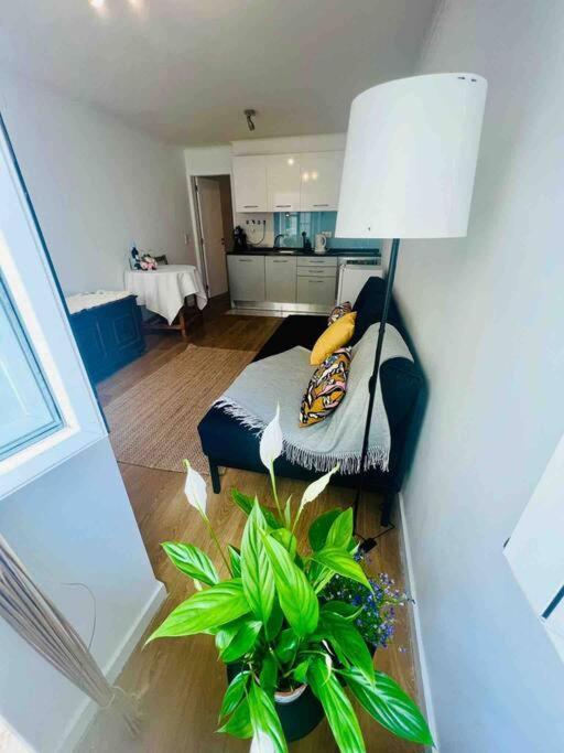 Graca Home 리스본 외부 사진
